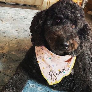 Meet your Posher, Tessa